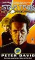 Into the Void (Star Trek New Frontier, No 2)