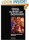 Stress, the Brain and Depression