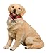 Sandicast® Companion Golden Retriever Statue