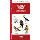 Alaska Birds: An Introduction to Familiar Species (A Pocket Naturalist Guide)