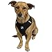 Paws & Pals Pet Control Harness for Dog & Cat Easy Soft Walking Collar, X-Large, Yellow