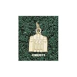 Central Michigan Univ Warriner Tower 3/8 Charm/Pendant -14K/10K, Stainless Steel or Gold Plated