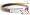 Armband IonBalance (Braun)