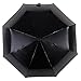 RENZER Compact Travel Starry and Blossom Automatic Foldable Women's Umbrella