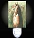 Indian Warrior Horse Decorative Night Light