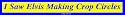 I Saw Elvis Making Crop Circles Bumper Sticker
