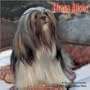 Lhasa Apsos 2010 Wall Calendar