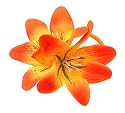 L. Erickson Wailea Ponytail Holder - Orange