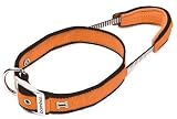 Pet Supplies : Bamboo Quick Control Collar with Built-In Leash Large, Orange