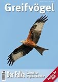 Produkt-Bild: Der Falke-Sonderheft Greifv&ouml;gel