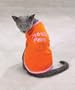 Casual Kitty "Mouse Patrol" Humor Tee (Cat Shirt) - X-Large (XL)