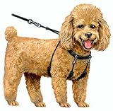 No Pull Halter - Black Small (size: 9 - 12)