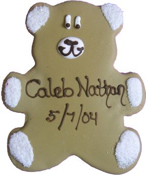 Beautiful Cookies Organic Party Favors-Teddy Bear Organic Cookies Cookies, 10 Cookies by Beautiful Cookies