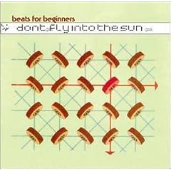 Don't Fly Into the Sun