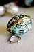 Seashell Emerald Green Jewelry Box Perfect for a Beach Wedding or Bridesmaid Gift By Hinterland Trading