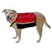 Kyjen Outward Hound Quick Release Dog BackPack, Medium, Red