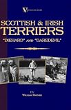 Scottish Terriers And Irish Terriers - 