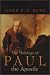Image: Shopper's Delight: Paul in The Books Store ~ The Theology Of Paul The Apostle (New Testament)