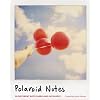 Polaroid Notes: 20 Different Notecards and Envelopes