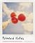 Polaroid Notes: 20 Different Notecards and Envelopes