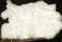 Natural White Top Grade Rabbit Fur Pelt Skin Taxidermy
