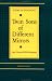 Used : Twin Sons of Different Mirrors: Poems in Dialogue