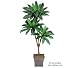 One 6' Bird Nest Artificial Palm Tree with Tripled Heads, with No Pot,