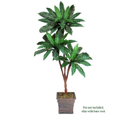 One 6' Bird Nest Artificial Palm Tree with Tripled Heads