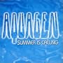 Summer Is Calling
