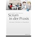 Scrum in der Praxis: Erfahrungen, Problemfelder und Erfolgsfaktoren