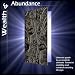 Wealth & Abundance (Self Improvement, Volume 2)