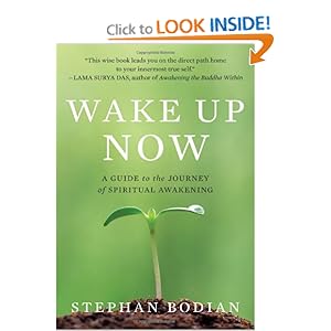 Wake Up Now - Stephan Bodian 