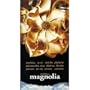 Magnolia [VHS]