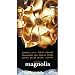 Magnolia [VHS]