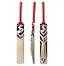 SG Phoenix Extreme Kashmir Willow Cricket Bat, Short Handle RS.1020.00
