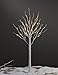 LIGHTSHARE Lighted Tree 4FT 48 LED Lighted Birch Tree for Decoration Inside and Outside, Home Patio Wedding Festival Christmas Decor, Warm White