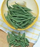 Gourmet Green Bean 70 Seeds - GARDEN FRESH PACK ! - B001J246LW