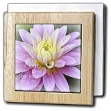 Patricia Sanders Flowers - Beauty Dahlia Rumi Floral Inspirational Quotes Poetry - Tile Napkin Holders