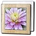 Patricia Sanders Flowers - Beauty Dahlia Rumi Floral Inspirational Quotes Poetry - Tile Napkin Holders