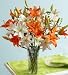Orange and White Lily Bouquet with Free Vase