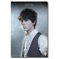 Jonas Brothers - Nick Entertainment Poster Print, 22x34