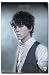 Jonas Brothers (Nick) Music Poster Print - 24 X 36
