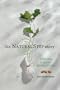 The Natural Step Story: Seeding a Quiet Revolution (Conscientious Commerce)