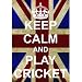 P2522 PLAY CRICKET FUNNY WW2 UNION JACK KEEP CALM AND CARRY ON RANGE POSTER PRINT