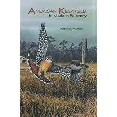 American Kestrels in Modern Falconry