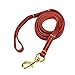 Petroad Leather Dog Leash with 6 Feet Long and 0.6 Inches Wide Large Medium Small Dogs Training and Walking