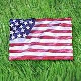 America in Motion Tiding Stone