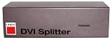 LINDY DVI-D Splitter, 4 Way