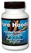 100% Pure Hoodia Gordonii Succulent All Natural Appetite Suppressant