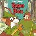 Robin des bois - L'Histoire racontée